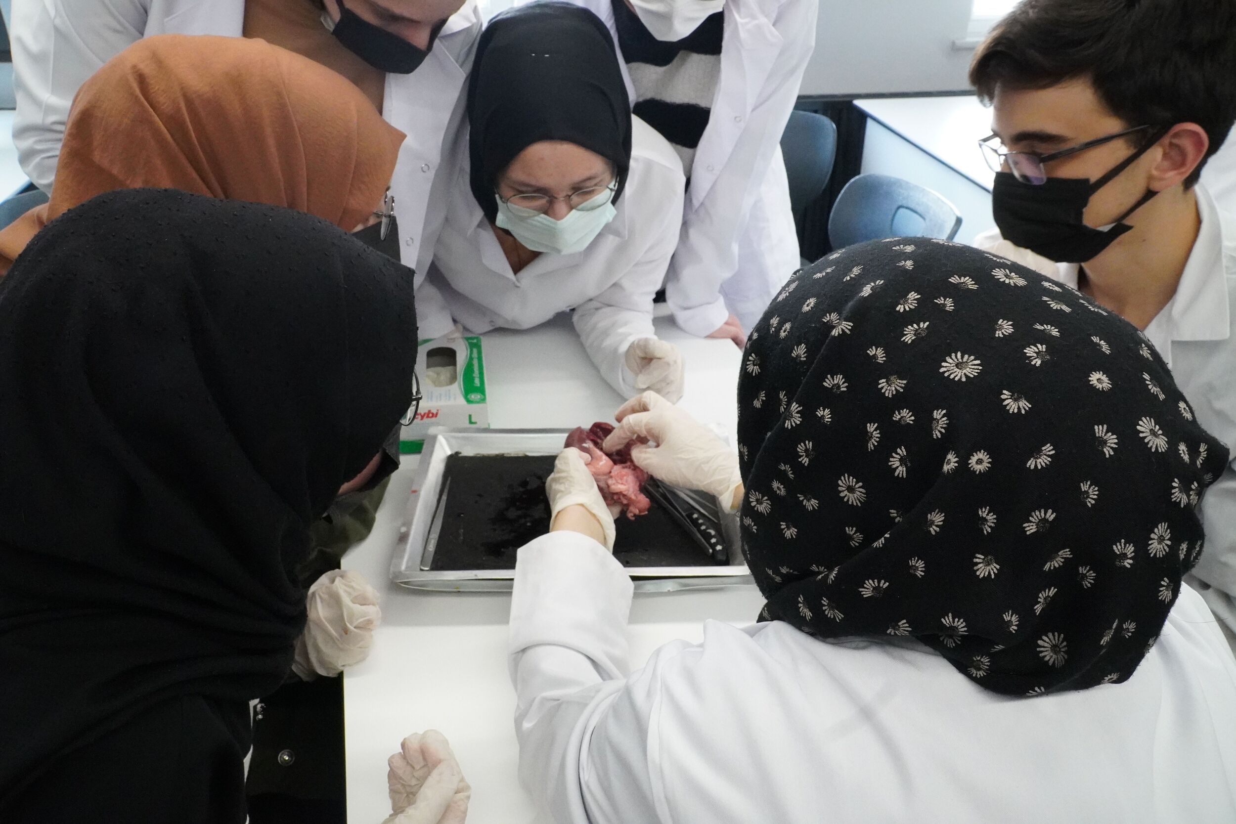 Geleceğin Tıpçılarını Sektöre Hazırlıyoruz!